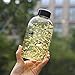 Fecihor Glass Water Bottle with Penguin Print -- Glass Beverage Bottles with Lids for Juicing or Beverage Storage Ideal Gift -600ml/21.2oz - Set of 1