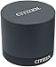Citizen Men's Eco-Drive Titanium Chronograph Watch with Perpetual Calendar and Date, BL5250-02L