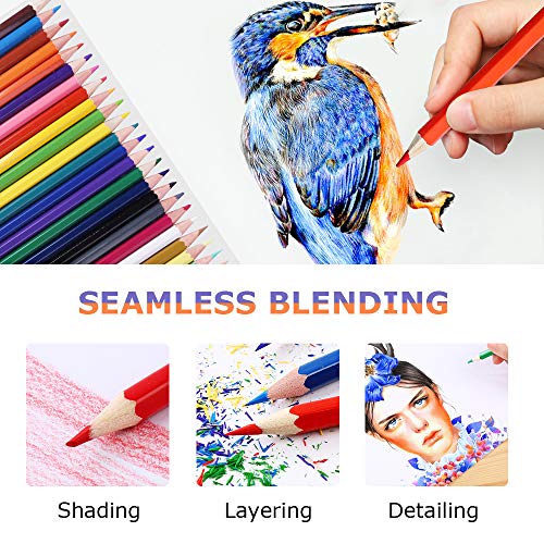 Colored Pencils with Soft Core for Adult Coloring Books Artist Drawing Sketching Crafting Shading,Vibrant Colors with Metal Box 24 Colors