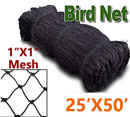 Red de pájaros para Proteger árboles frutales, arbustos y Verduras ...