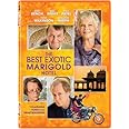 The Best Exotic Marigold Hotel