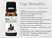 Biofinest Wintergreen Oil - 100% Pure Wintergreen Essential Oil - Premium Organic - Therapeutic Grade - Aromatherapy - Boost Digestion - Strengthen Muscle - FREE E-Book (10ml)