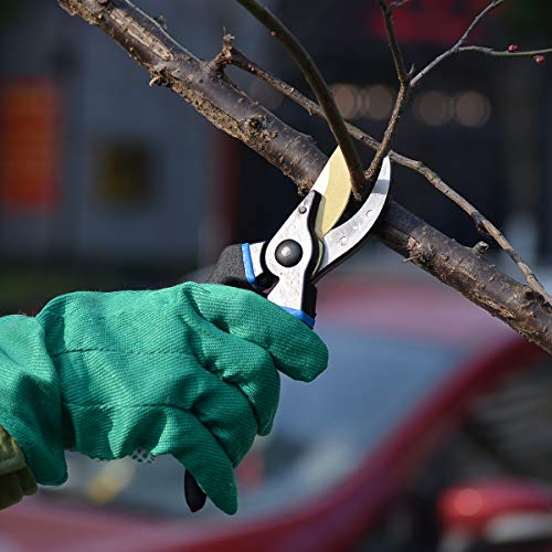 Prostormer 8" Bypass Pruning Shears, Heavy Duty Garden Pruners Tree Trimmer Secateurs with SK-5 Steel Blade and Safety Lock - Ideal Branches, Vines, Flowers Clippers