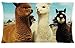 Llama We Are Friends Pillowcase 20x36 (one side) Custom Rectangle Pillow Cover Cases