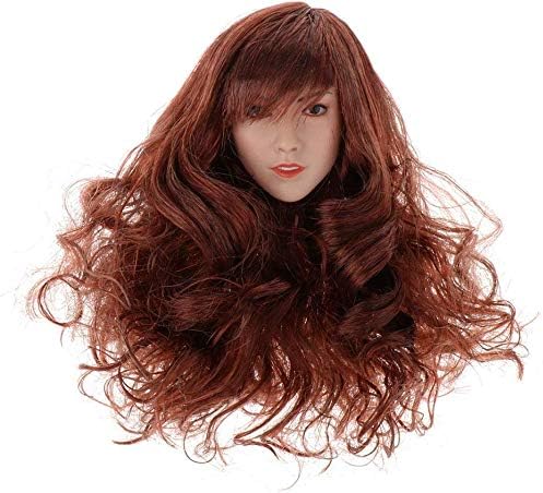NEDTO 1/6 Scale Asian Lady Head Sculpt Carved Model for 12'' Female Figure Phicen Kumik Action Figure Body Toy Accessory - Brown Hair