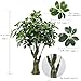 GTidea 3.3 Feet Artificial Fortune Tree Silk Plants Real Touch Soft Lush Leaves Home Office Arrangements Indoor Outside Greenery Decor