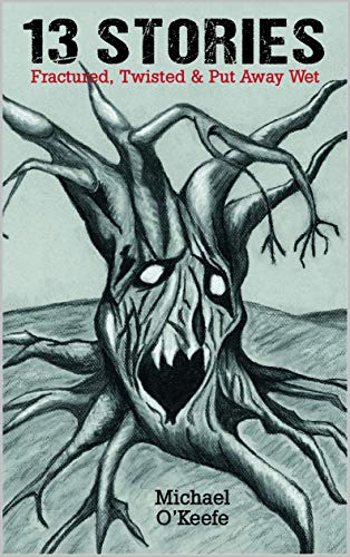 13 Stories: Fractured, Twisted, & Put Away Wet by Michael O'Keefe