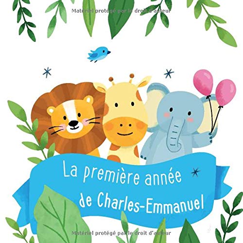 La Premiere Annee De Charles Emmanuel Album Bebe A Remplir Pour La Premiere Annee De Vie Album Naissance Garcon French Edition Publishing Babymemories Fr Amazon Com Books