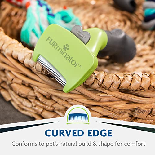 FURminator Small Dog Undercoat deShedding Tool, Short Hair, Reduces Loose Hair from Shedding