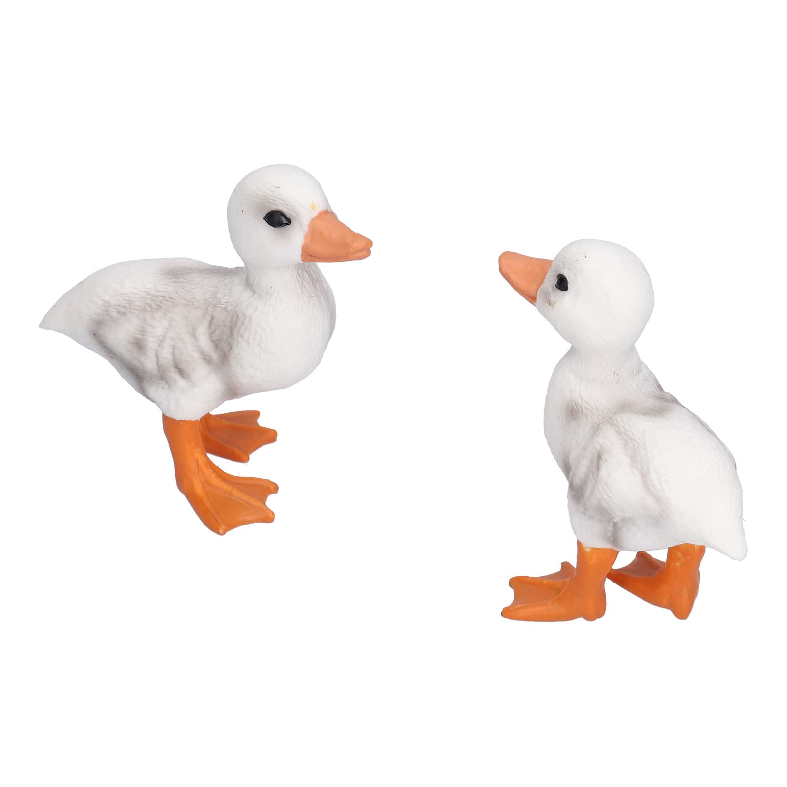 01 02 015 Duck Ornament, 2Pcs Duck Model Indoor Outdoor Lifelike for Decorations