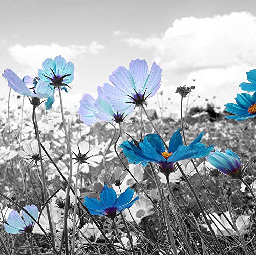 2 SDYA+Painting+Digitally+Printed+Colorful