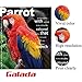 Galada Glossy Photo Sticker Paper 50 Sheets 8.5x11 Sticker Photo Paper High Glossy Vivid Color Waterproof Photographic Paper Works with dye Printers (8.5x11 Glossy Sticker Paper 50sheets)