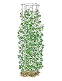 Bean Tower, Heavy Gauge Bean Trellis