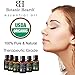 Botanic Hearth Hair Oil 0.3 fl oz