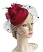 Cizoe Fascinator Hair Clip Pillbox Hat Bowler Feather Flower Veil Wedding Party Hat Tea Hat(1-Burgundy)