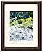 Frametory, Photo Frame comes with Ivory Mat for Pictures - Curved Bevel Design - Sawtooth Hanger, Swivel Tabs - Wall Display - Real Glass (Walnut, 11x14 Frame for 8x10 Pictures)