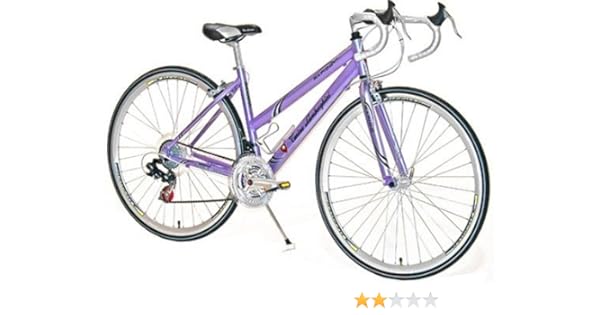 womens bike 17 inch frame
