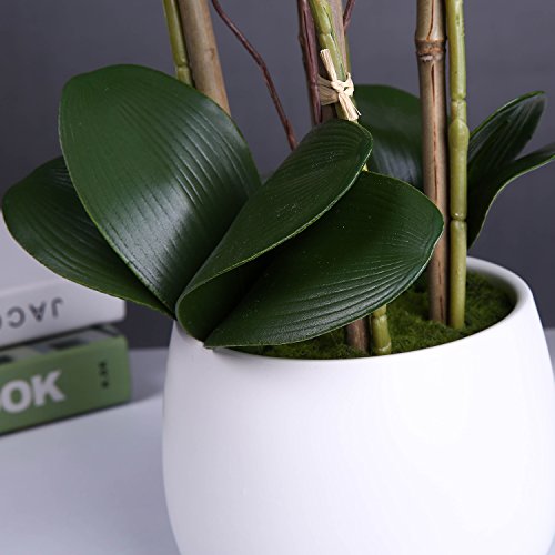image for Livilan Large White Silk Orchid Artificial Flower Arrangements with Va