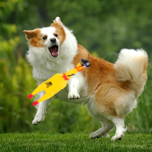 AMOR PRESENT Squeaky Rubber Chicken, Pirate Squeeze Chicken Toy Screaming Rubber Chicken for Halloween Party Favors Prank Novelty Pet Toy