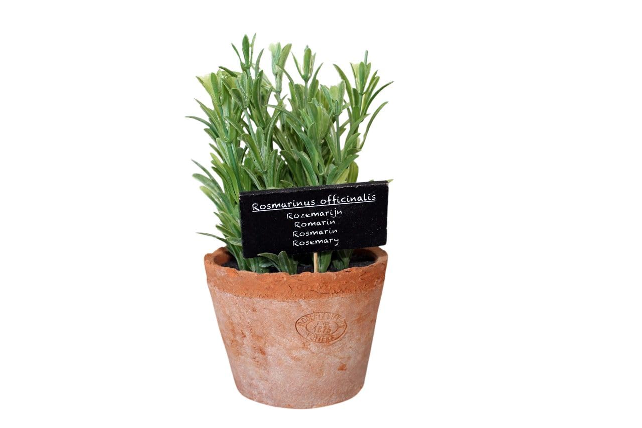 Esschert's Design AH012 Large Artificial Aged Terracotta Pot - Rosemary