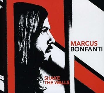 Image result for marcus bonfanti shake the walls
