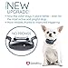 GoodBoy Small Rechargeable Dog Bark Collar for Tiny to Medium Dogs Weatherproof and Vibrating Anti Bark Training Device That is Smallest & Most Safe On Amazon – No Shock No Spiky Prongs! (6+ lbs)thumb 4