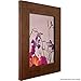 Craig Frames FM74DKW 8 x 10 Inch Picture Frame, Brown, Set of 4