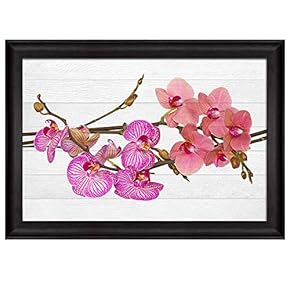 Branch with Pink Orchids Over White Wooden Panels...