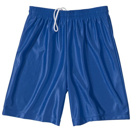A4 Mens Dazzle Shorts X-Large Royal