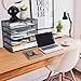 Samstar Desk Organizer, Mesh File Paper Letter Tray with 5 Stackable Trays and Sorter, Black