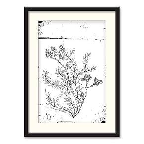 Black Framed Canvas Wall Art Nordic Style Plant Home Artwork Decoration for Living Room, Bedroom - 23x31 inches