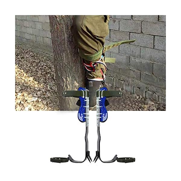 MeTikTok Baum Steigeisen Spike Set, Klettern Baumsteigeisen Artefakt Baumklettern Ausrüstung Set Klettern Bäume… – Bild 5