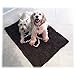 Walky Dog Dirty Dog Rug Extra Thick Microfiber Dog Pet Doormat Anti Slip Backing Super Absorbent (Tan, L 35.5