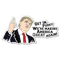 Trump Get In Pssy American President Funny Sticker Decal Music Art Vinyl