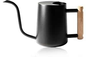 Bamworld Watering Can Indoor Plants 35oz Small Watering Can Stainless Steel Water Can for Indoor Outdoor Home Plants Garden F