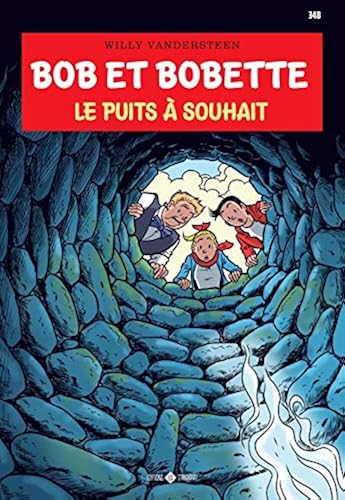 Download Le puits à souhait PDF