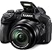 Panasonic FZ300 4K 24x f2.8 Long Zoom Digital Camera (Black) Bundle with 64GB Memory Card, Battery and Dual Charger, Lens Filter Kit, Spider Tripod, Case Accessory (6 Items) AZZUTORK