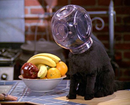 Sabrina - Total verhext! - Gesamtbox (Staffel 1-7) [31 DVDs] 8