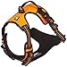 Chai's Choice Best Outdoor Adventure Dog Harness (X-Large, Orange)