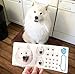 Custom Face Stickers, Photo Stickers, Stickers of Your Dog, Sampler Sheet - Pet Gift, Pet Stickers, Cat Stickers