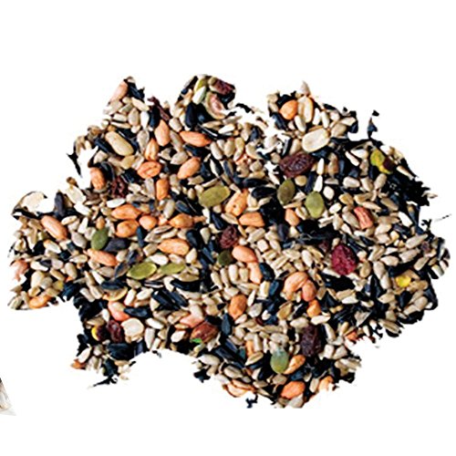 Wild Delight 366050 Nut N' Berry Bird Food, 5 lb, Multi Pricepulse