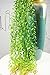 6 Bunches Green Artificial Silk Hanging Vine Plant Willow Leaves for Home Garden Outdoor Wall Decoration
