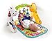 Fisher-Price Newborn-to-Toddler Play Gym, Rainforest