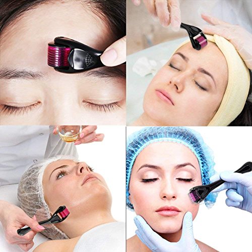 Beauty 540 Micro Needles Derma Roller Skin Care Tools/0.25mm