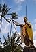 3'x5' KANAKA MAOLI HAWAII FLAG, Hawaiian Sovereignty banner