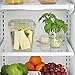 FoodSaver FAC8-000, 8 Cup, Clear Vacuum Sealed Fresh Container