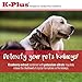 K-Plus Potassium Citrate + Cranberry Granules for Dogs & Cats – Vet-Approved UTI & Bladder Health Support – Helps Maintain Urinary Balance & Kidney Function – Easy-to-Use Granules – 60 Doses