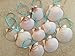 White Scallop Seashell Christmas Ornaments (Set of 10)