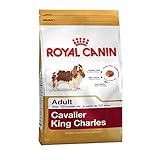 Royal Canin Cavalier King Charles Wholesome and Natural Adult Dry Dog Food 1.5kg ( 3.3 pounds)
