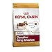 Royal Canin Cavalier King Charles Wholesome and Natural Adult Dry Dog Food 1.5kg ( 3.3 pounds)